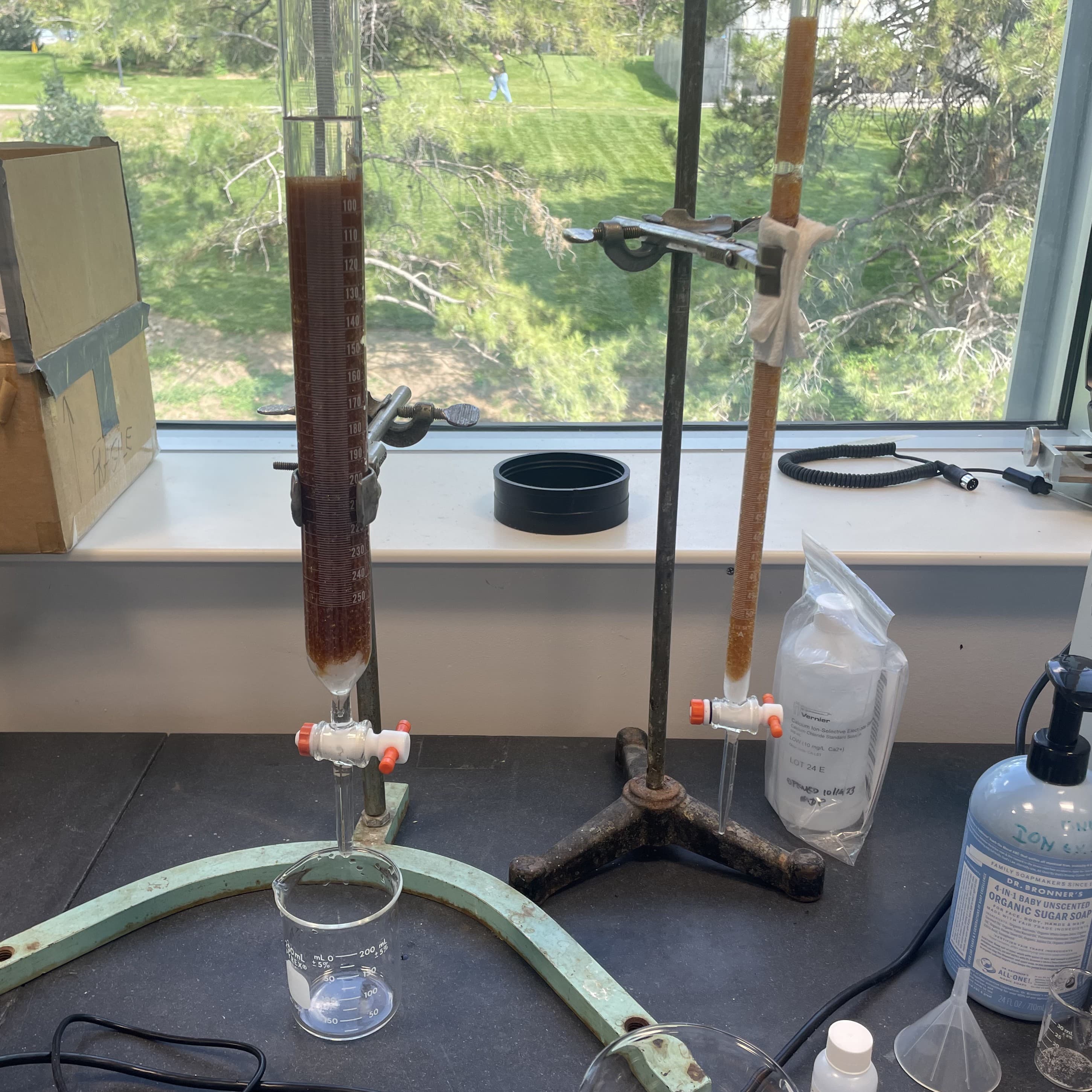 Picture of Illustration